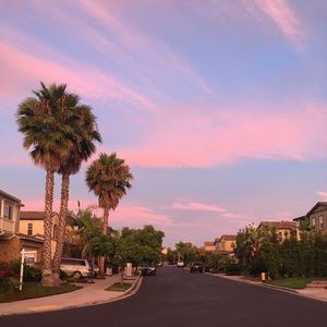 Meet your Posher, Ying